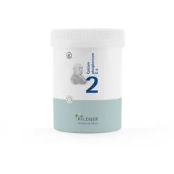 Biochemie Pflüger Schüßler-Salz Nr. 2 Calcium phosp. D6 1000 St