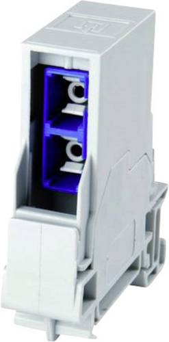 Telegärtner 100022789 Anschlussdose IP44, CAT 6a 100022789 Tragschienen-Outlet Grau 1St.