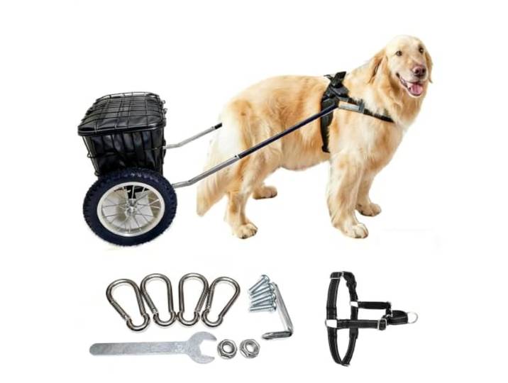 Hundewagen Mit Anhänger, Haustier-Transportwagen Mit Deckelkorb Hundeanhänger Mit 12-Zoll-Rädern, Geschirr Und Edelstahlclips, Praktischer Transportwagen Für Spaziergänge Campingausrüstung