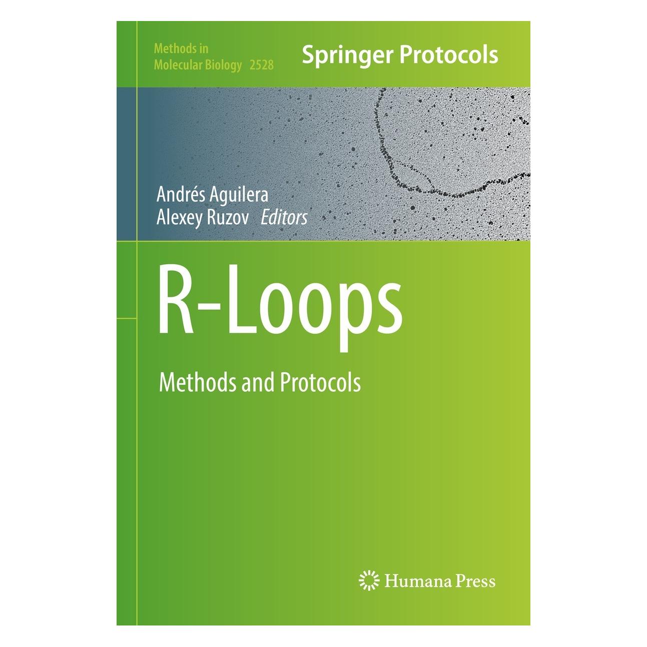 Springer R-Loops (Englisch, Hardcover, Alexey Ruzov, Andrés Aguilera) (9781071624760)