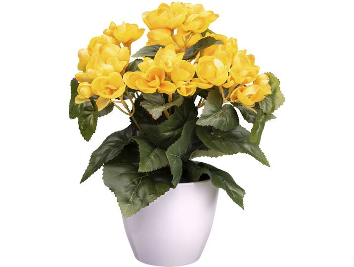 Kunstblume CREATIV GREEN Begonie , gelb, H:28cm, Kunststoff, Kunstpflanzen, Kunstblume, mit farbenfrohen Blüten