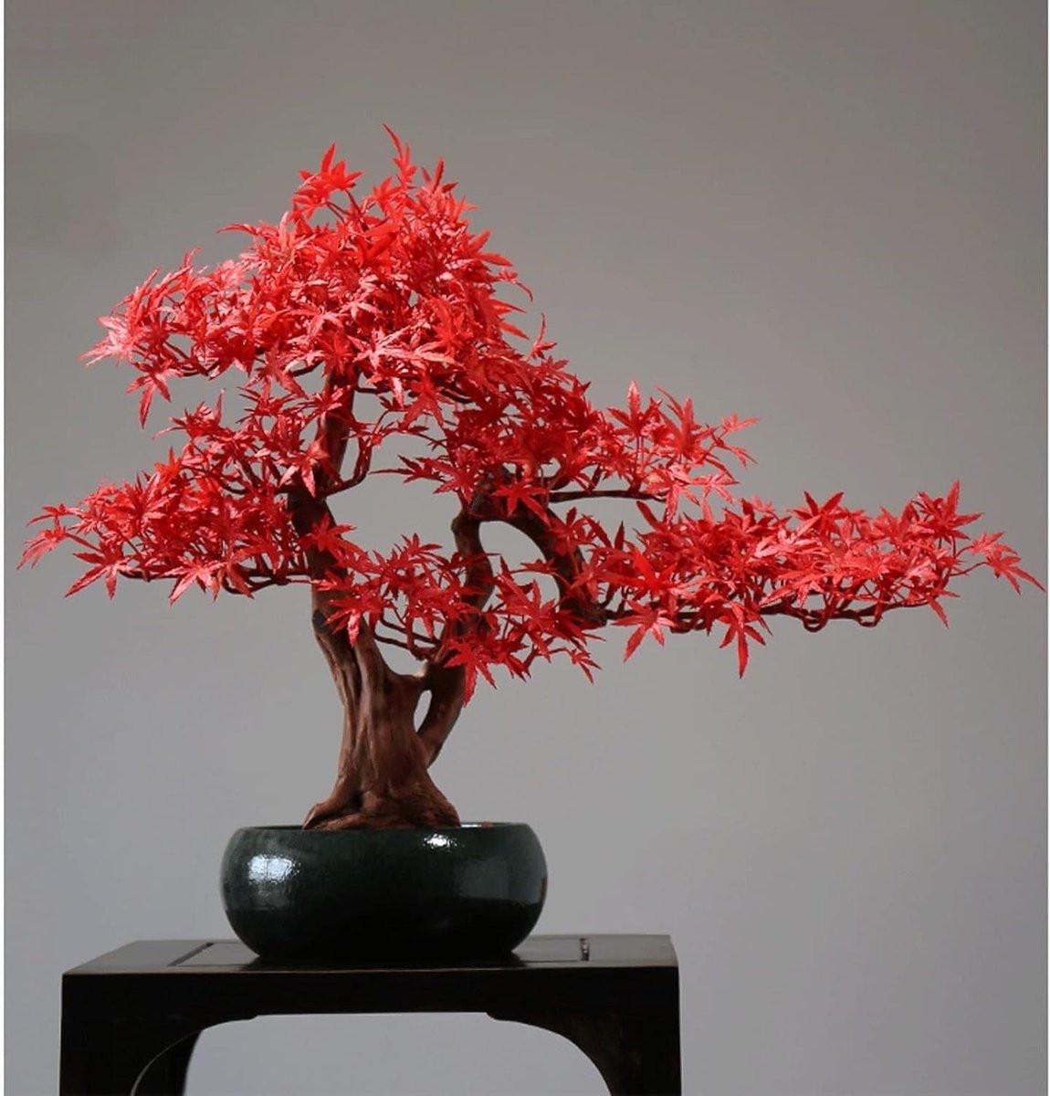 Levensgetrouwe kunstmatige bonsai boom met rode kom voor interieur decoratie