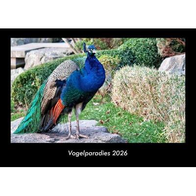 Vogelparadies 2026 Fotokalender DIN A3