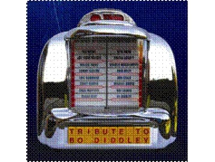 Bo Diddley Tribute - Tribute To Bo Diddley