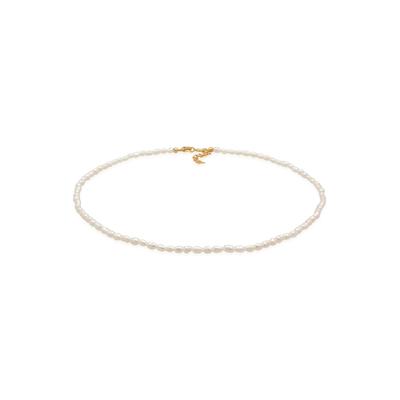 Choker ELLI PREMIUM "Halskette Choker Süßwasserperlen Klassik 925 Silber" Gr. 36, gold, Halsketten, Damen, 36, ohne Stein, Silber 925 (Sterlingsilber)