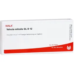Valvula mitralis Gl D 12 Ampullen