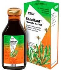 SALUS FLORADIX Salullant® 250ml