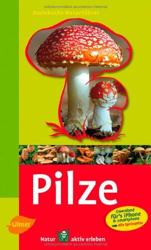 Helmut Grünert - Steinbachs Naturführer Pilze: entdecken und erkennen - Preis vom 30.09.2026 09:01:18 h
