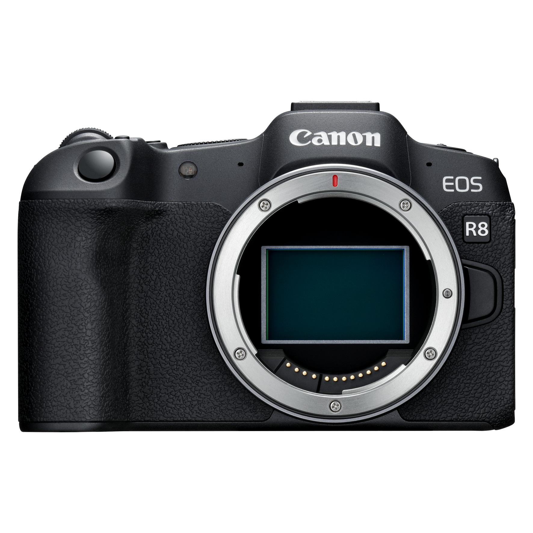 Canon EOS R8 (EU) (24.20 Mpx, Vollformat) (5803C003)