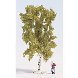 NOCH 28520 Baum Birke 60 mm 1 St.