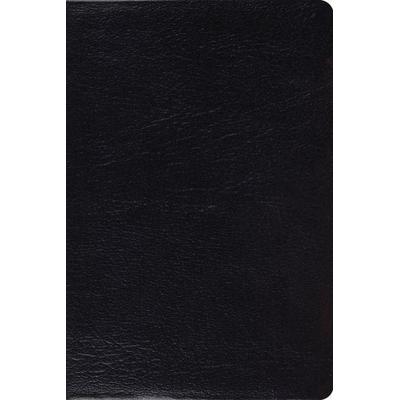 Study Bible-ESV-Personal Size, Gebundene Ausgabe von Esv Bibles, Crossway Books, 978-1-4335-2462-2