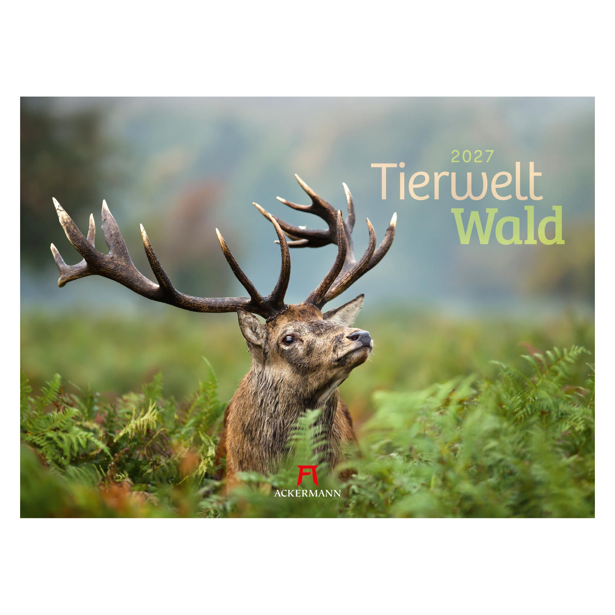 Ackermann Tierwelt Wald Kalender 2027 (Querformat) (2782)