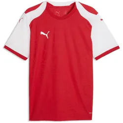 Puma, Herren, Sportshirt, teamFINAL26 Knit Jersey (3XL), Weiss, Rot, 3XL