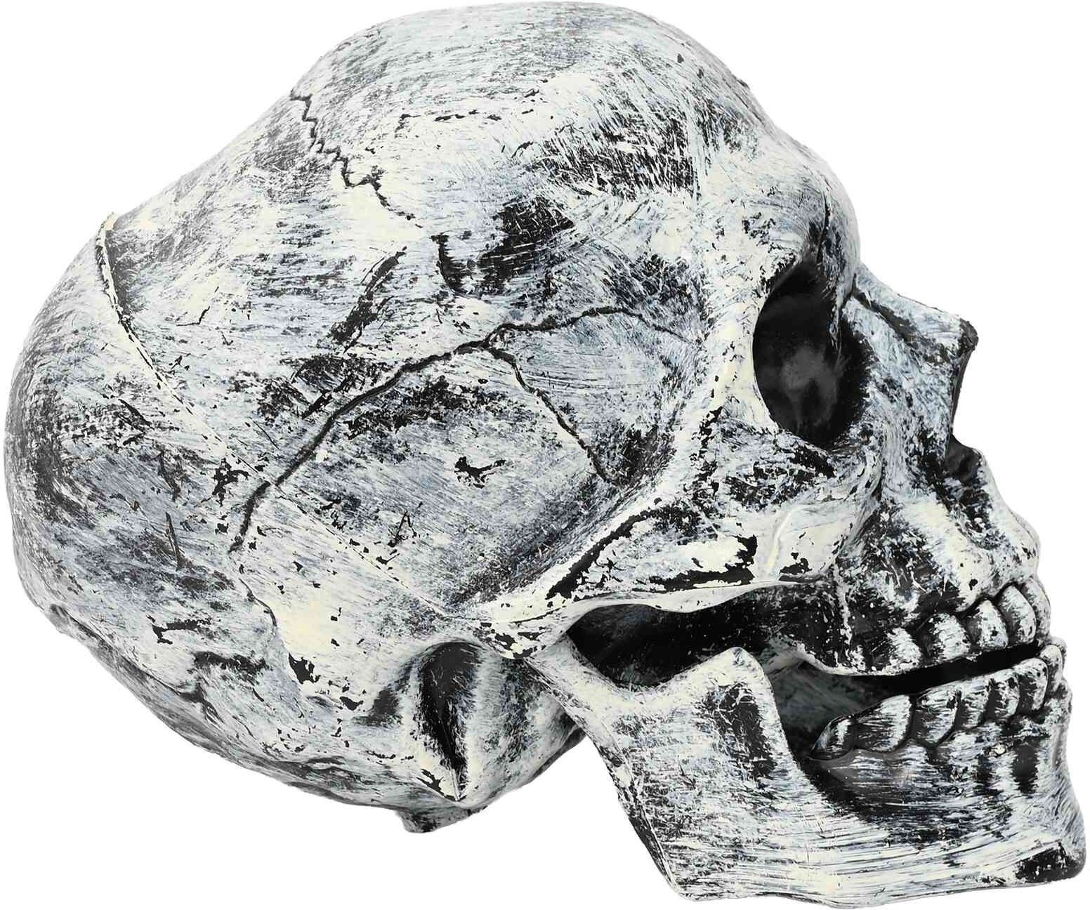 vidaXL Crâne de Halloween SPOOKA 2 pc Blanc 12 x 15 x 17,5 cm