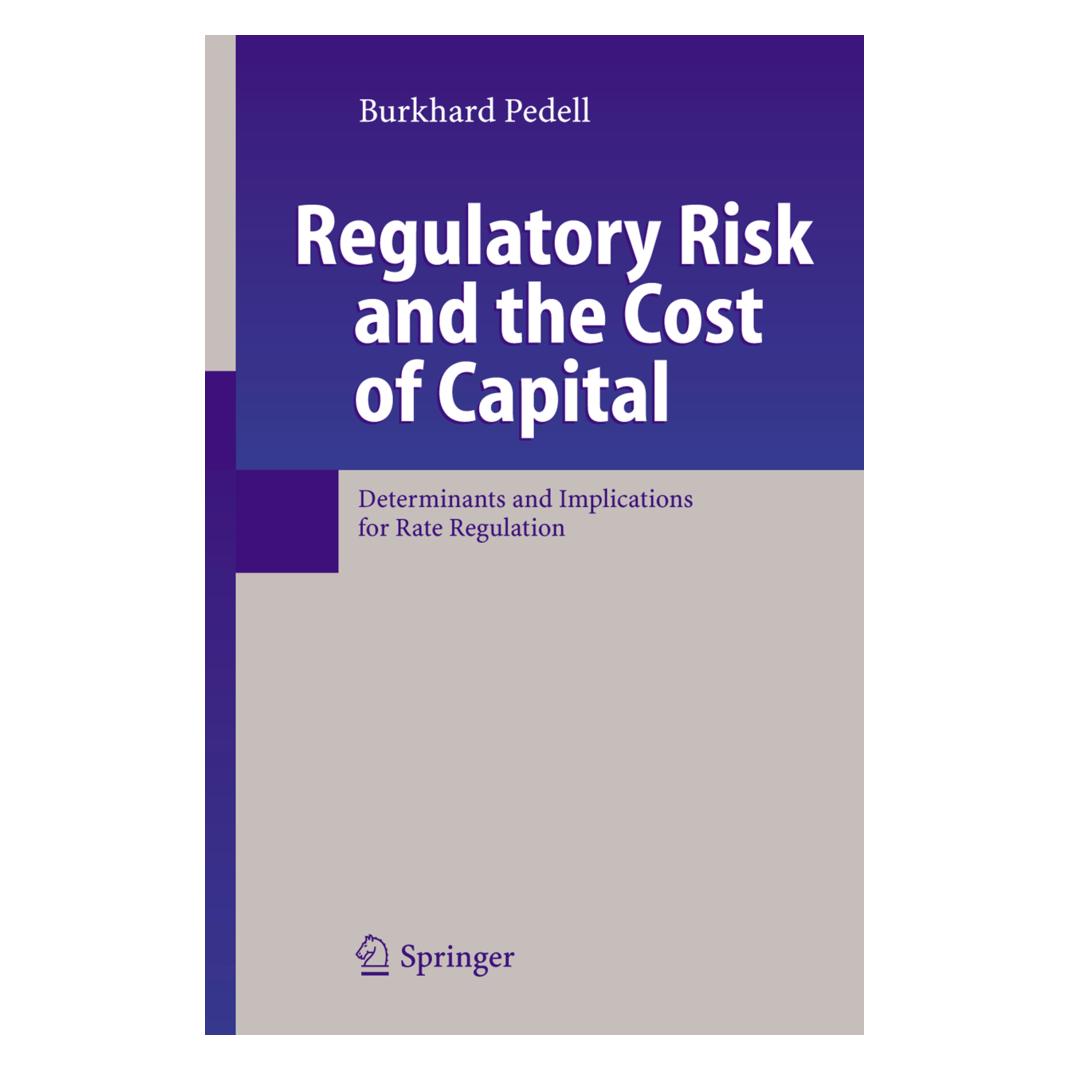 Springer Regulatory Risk and the Cost of Capital (Englisch, Softcover, Burkhard Pedell) (55373786)