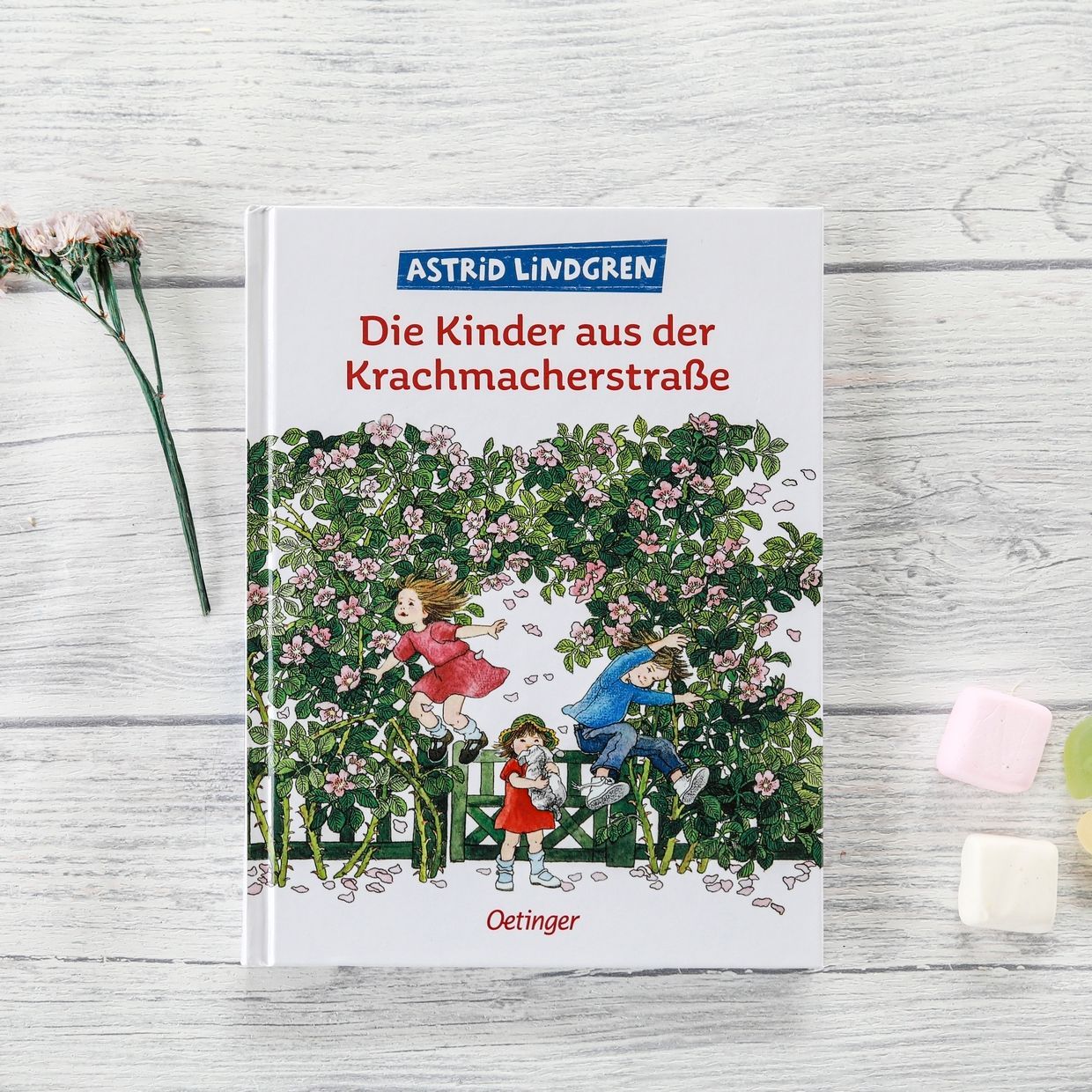 Oetinger Die Kinder aus der Krachmacherstraße