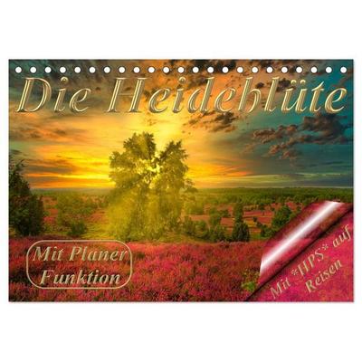 Die Heideblüte (Tischkalender 2027 DIN A5 quer), CALVENDO Monatskalender