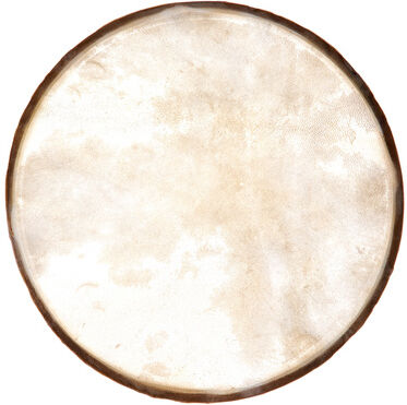 Studio 49 EF250 Drum Head for RT250