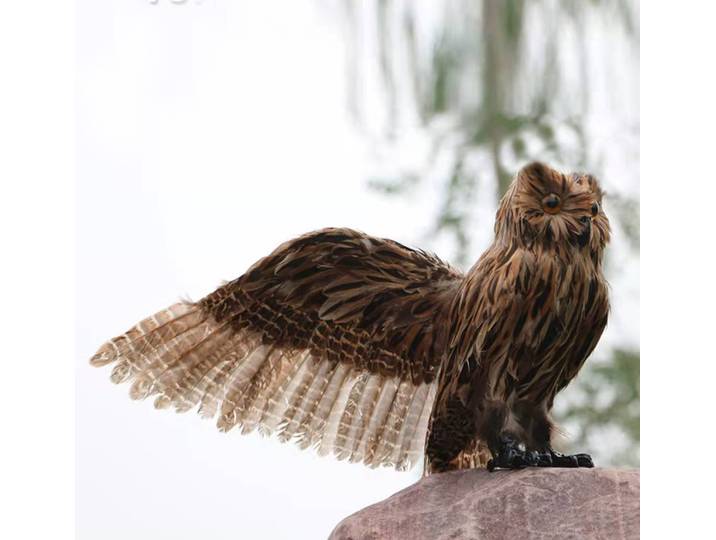 Modèle d'Oiseau en Mousse et Fourrure pour Décoration de Jardin, Ailes Brunes de la Vie Réelle, Hibou, Cadeau, xf2793, Environ 30x60cm