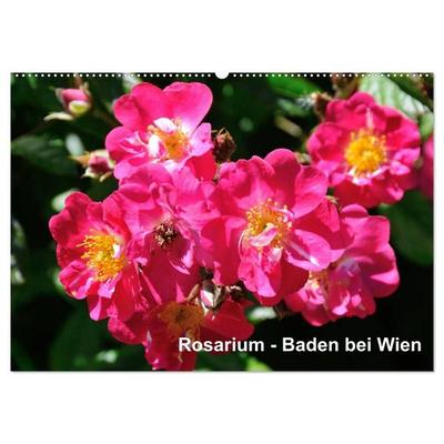 Baden bei Wien - Rosarium (Wandkalender 2027 DIN A2 quer), CALVENDO Monatskalender