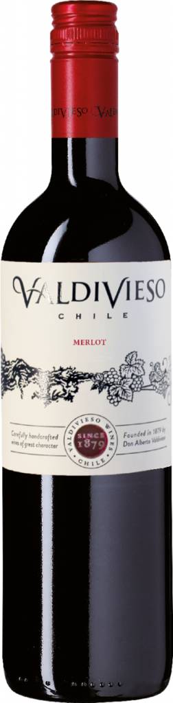 Merlot Valle Central - Chile 2023 Vińa Valdivieso