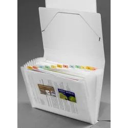 FolderSys Fächermappe DIN A4 12-Fach  transparent