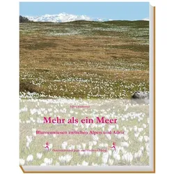 Mehr als ein Meer, Ratgeber von Björn Zedrosser