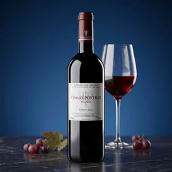 Toma Postigo 2022 Tomas Postigo 3er ANO 2022 Cabernet Sauvignon,Malbec,Merlot,Tempranillo Spanien