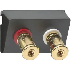 Gira Einschub Datenhaube High-End WBT Zubehör, Schalter + Taster