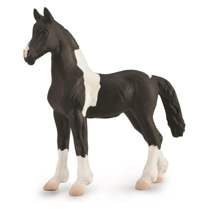 Collecta Barcock Pinto Fohlen (88893)