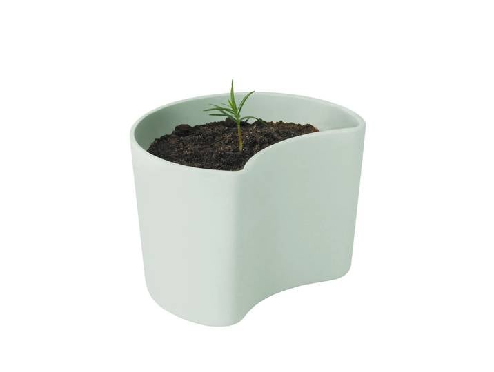 RIG-TIG Pot avec graines YOUR TREE Vert (Pin)