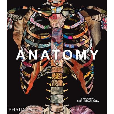Anatomy: Exploring the Human Body, Gebundene Ausgabe von Phaidon Editors, Phaidon, 978-0-7148-7988-8