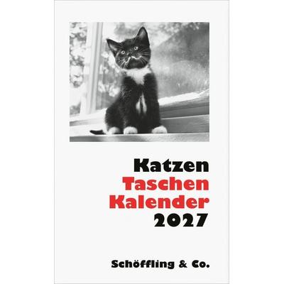 Katzen Taschenkalender 2027