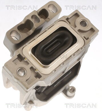 Triscan Lagerung, Motor 8505 29143 Für Vw