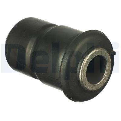 DELPHI Lagerung, Blattfeder TD1070W für Ford