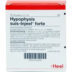 HYPOPHYSIS SUIS Injeel forte Ampullen 10 St