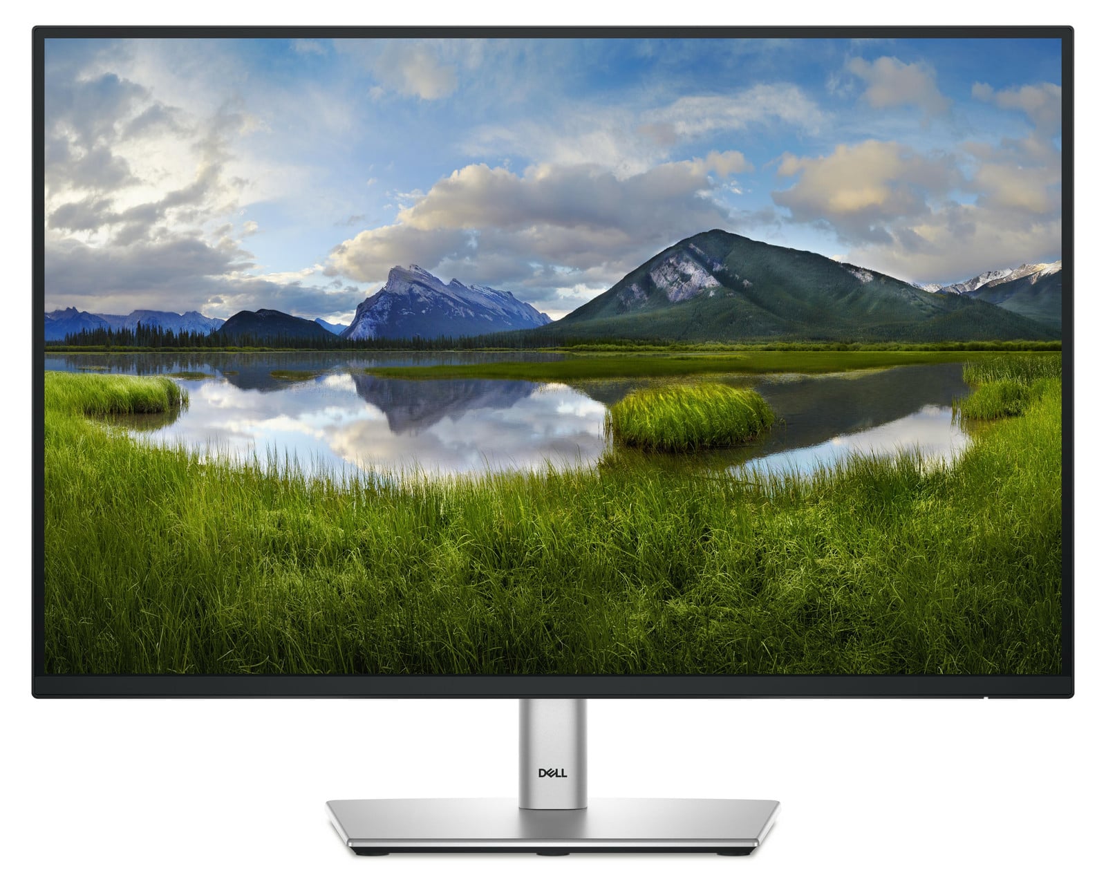 Dell P2425 Monitor, 61,1 cm (24,0 inch), zwart