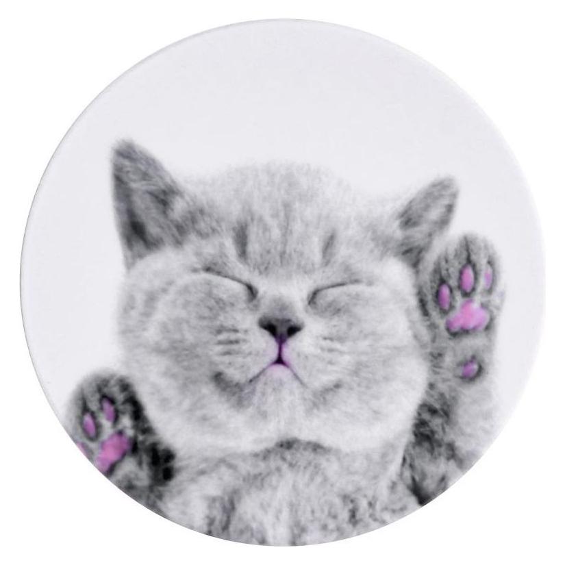 iLike Universal Pop Holder Cat (ILIUNPH22)