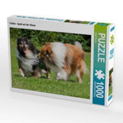 CALVENDO Puzzle Collies - Spaß auf der Wiese 1000 Teile Lege-Größe 64 x 48 cm Foto-Puzzle Bild von Sigrid Starick