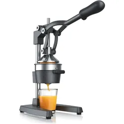 Arendo Saftpresse, Entsafter, Grau