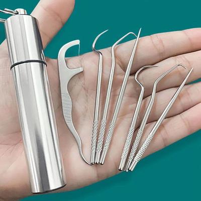 Inspired Finds CleanCarry Stainless Steel Toothpick & Flossing Travel Set CleanCarry Stainless Steel Toothpick & Flossing Travel Set