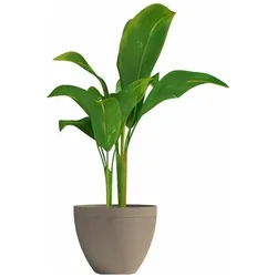 Garden ID, Blumentopf, Blumentopf Taupe 30 x 26 cm (30 x 26 cm)