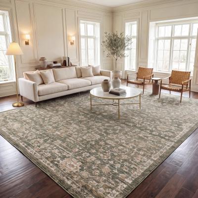 SAFAVIEH Hazel Heti Traditional Oriental Rug