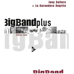 La Curandera Negrita, Fachbücher von Joey Sellers