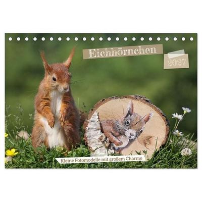 Eichhörnchen - Kleine Fotomodelle mit großem Charme (Tischkalender 2027 DIN A5 quer), CALVENDO Monatskalender
