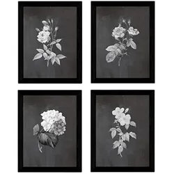 POSTER Set mit 4 Botanischen Stils Rosa weich Schwarz Hintergrund A4 Rahmenlos
