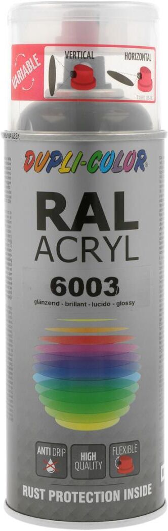 european aerosols DUPLI-COLOR RAL 6003 olivgrün glanz, 400 ml