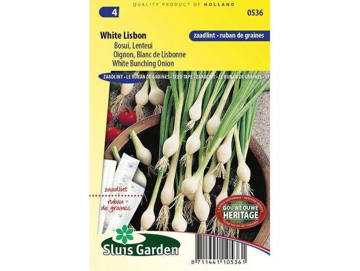 Ui White Lisbon zaailint