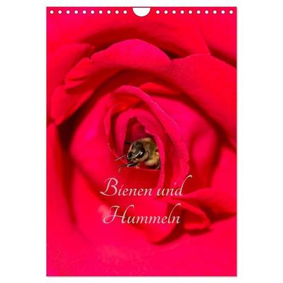 Bienen und Hummeln (Wandkalender 2027 DIN A4 hoch), CALVENDO Monatskalender