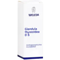 Glandula Thyreoidea D 6